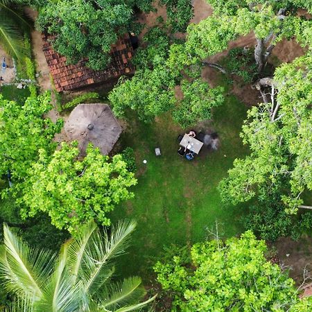 Eco Village Kalundewa Dambulla Exterior foto