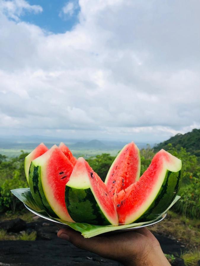 Eco Village Kalundewa Dambulla Exterior foto