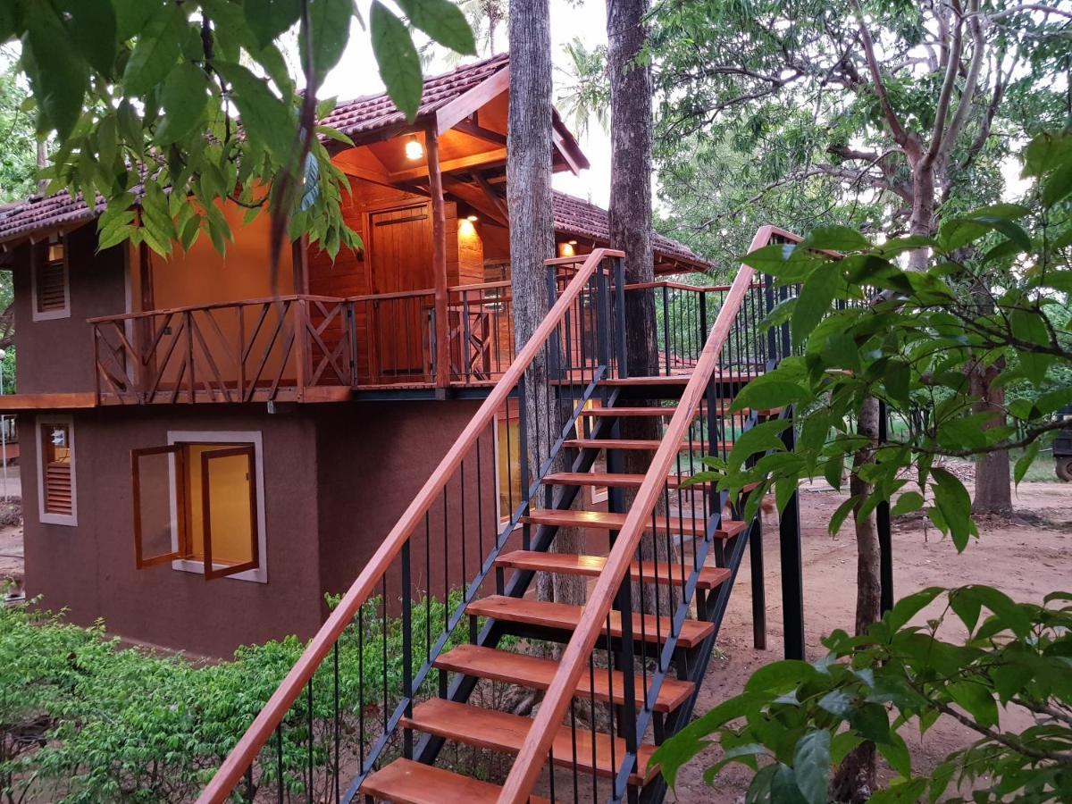 Eco Village Kalundewa Dambulla Exterior foto