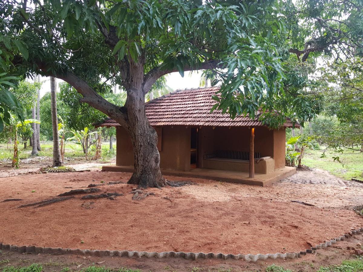 Eco Village Kalundewa Dambulla Exterior foto