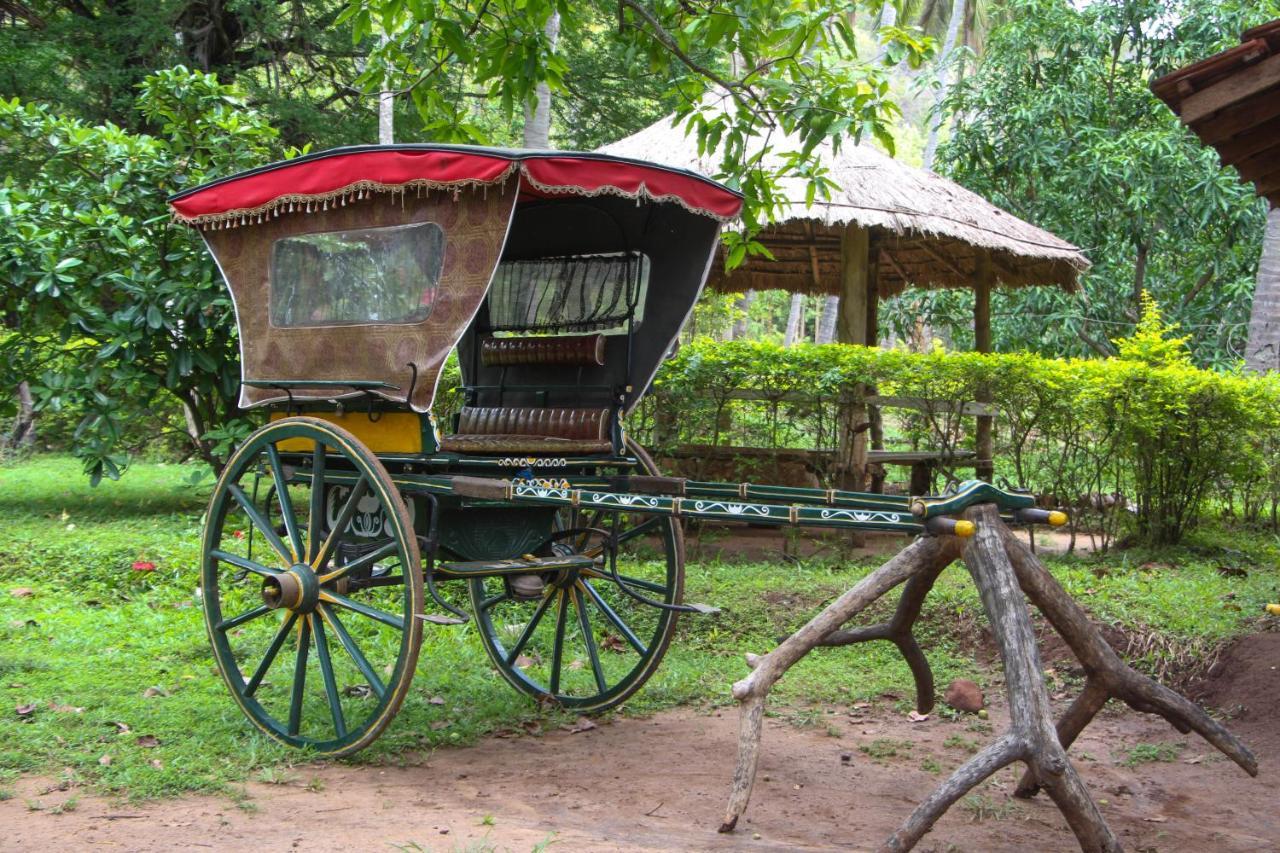 Eco Village Kalundewa Dambulla Exterior foto