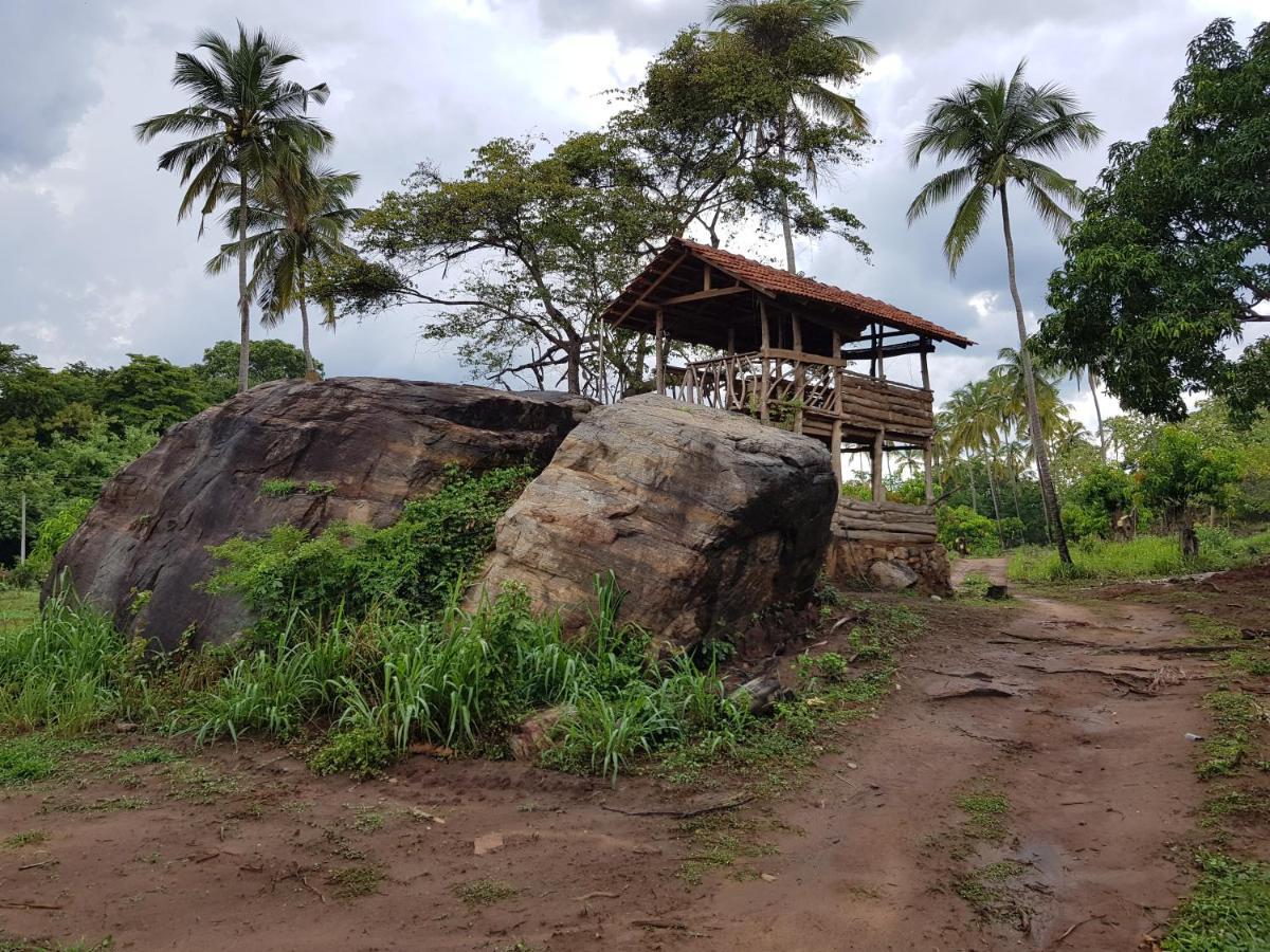 Eco Village Kalundewa Dambulla Exterior foto