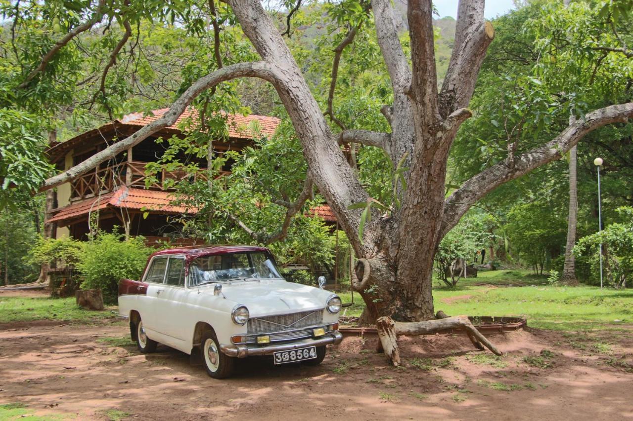 Eco Village Kalundewa Dambulla Exterior foto